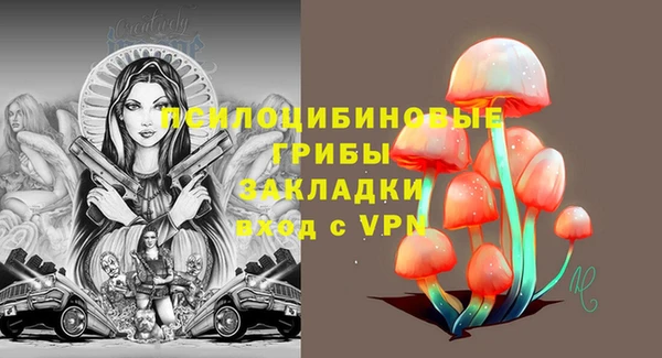 прущий лед Ладушкин