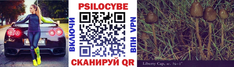 Псилоцибиновые грибы мицелий  Купить закладки  Протвино 